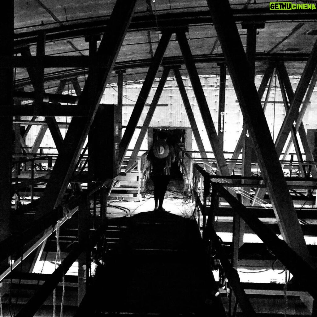 David Lambert Instagram - Up in the rafters. #tbt