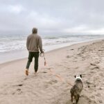 David Lim Instagram - Breezy morning in Malibu with my boy @milesinla. 🐶💙🌊 #calilife Malibu, California