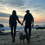 David Lim Instagram – Goodbye 2023. Onward and upward. 👋🏽🌅🩵🐶