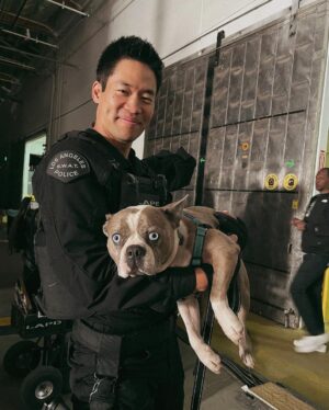 David Lim Instagram - Night shoot with my boy @milesinla. 🎥🐰

Subjective listening, tires quickly, and tends to gloss over his lines, but still a great scene partner. 😆 #swat #rufflife