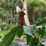 David Lim Instagram – Island snaps 🌺🏝️📿🍧🤙🏽 #kauai #allpono Kaua’i, Hawaii