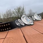David Michael Harwood Instagram - These will be worth the wait. Low numbers shipping in the next few weeks. 20 x limited edition collector item 7⭐️FTR championship belts.