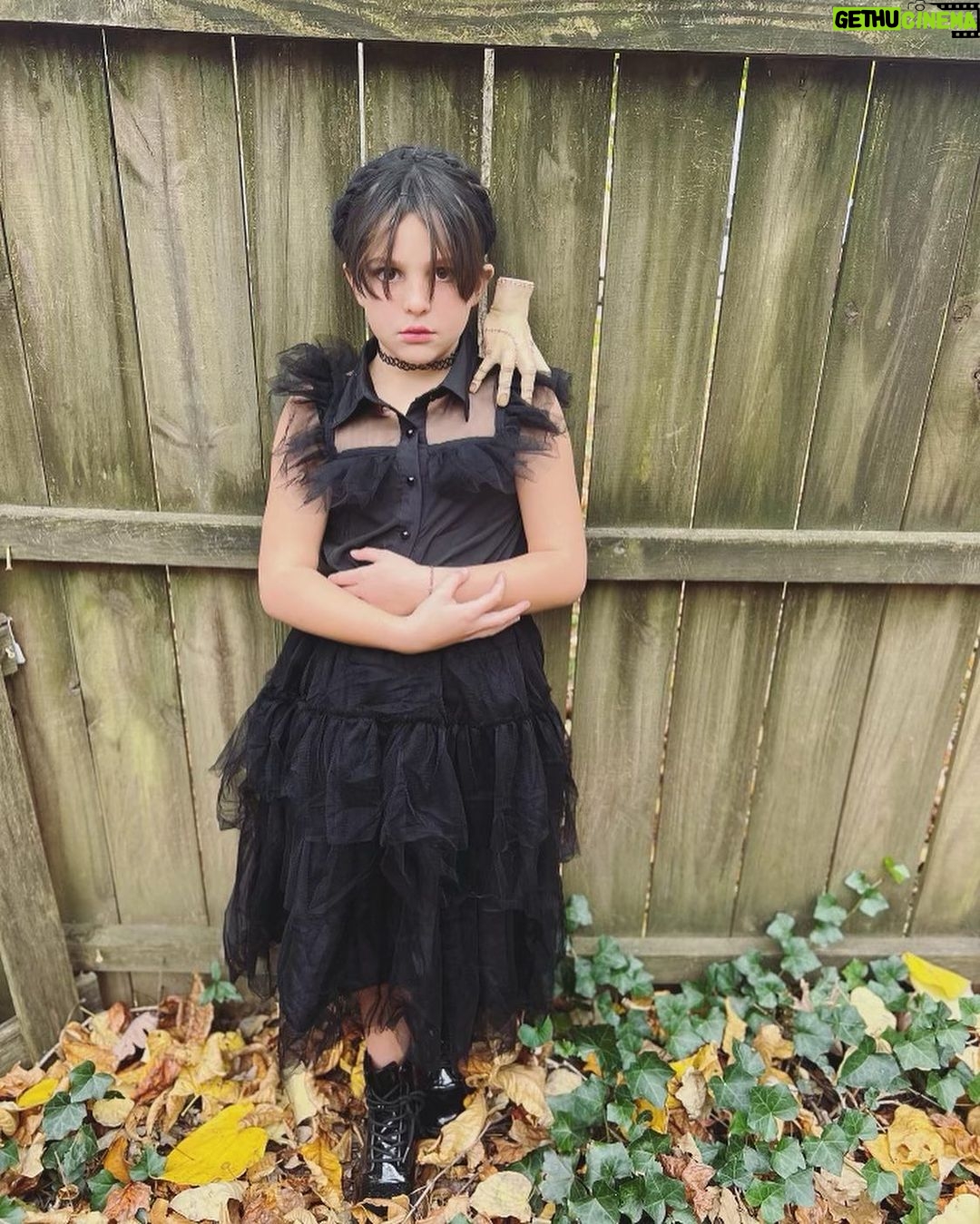 David Michael Harwood Instagram - They’re creepy and they’re kooky