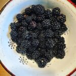 David Morrissey Instagram - My garden just keeps giving!