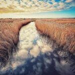 David Morrissey Instagram – Boxing Day walk! Takes my breath away!