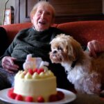 David Thewlis Instagram - The moment Alfie realises my Dad’s birthday cake might contain sausages.