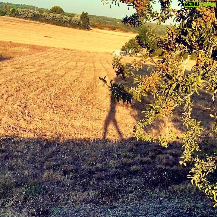 David Thewlis Instagram - Shadow of my former self spotted taking a walk without me Aix-en-Provence, France