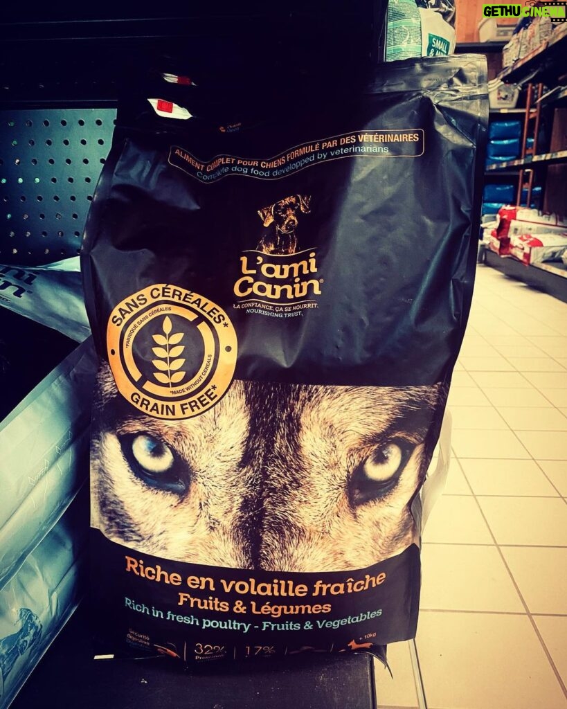 David Thewlis Instagram - 15 kilos of French dog food. Terrifying. Btw, this is not a reference to any film I’ve ever done or any character I’ve ever played. It’s a reference to scary French dog food, nothing else, so please keep your comments on topic. Also, I should mention that as a member of and in solidarity with the SAG-AFTRA union I will not be promoting any new projects during the strike. So, to be clear, I am also not promoting this dog food. It tastes weird and I and have not received any in payment, even though I really do have a lovely dog, as you well know. This is now the end of this post. I hope you all had a splendid time. Carry on.