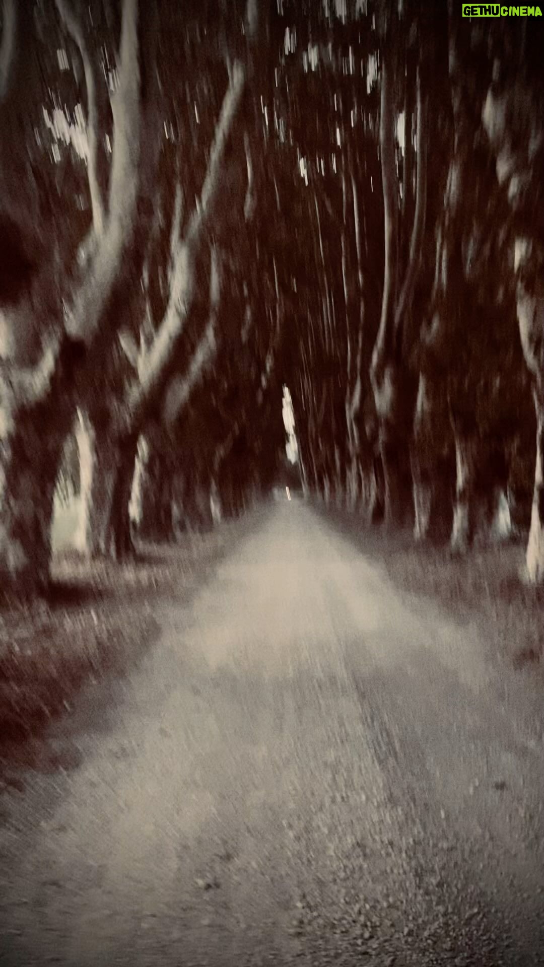 David Thewlis Instagram - And then this happened Aix-en-Provence, France