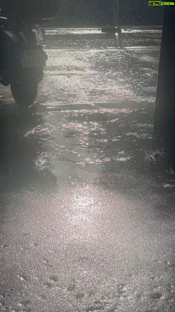David Thewlis Instagram - I was sitting outside a cafe in Paris filming the sun reflected in this puddle when suddenly Dame Judi Dench walked by, and then incredibly, from the other direction came The Dalai Lama. They didn’t notice each other and neither of them saw me, but I saw it all and thought no one will ever believe this really happened.