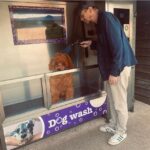 David Thewlis Instagram - Really washing real mud off my real dog