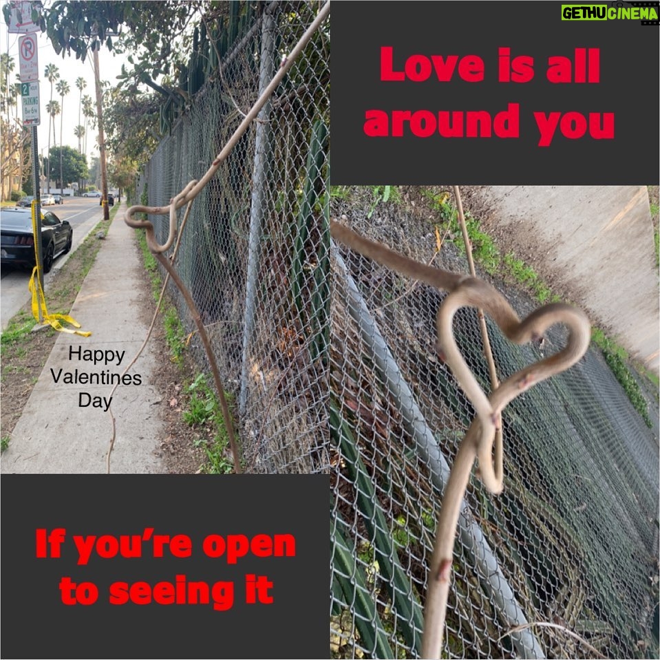 David Yost Instagram - Happy Valentine’s Day! - I often see naturally occurring hearts in my everyday life. Here is a vine that grew through a fence & twisted itself into a heart. It did this to remind all those that see it that in the end, LOVE is all that matters. You are loved! ♥️♥️♥️ #affirmative #affirmyourself #powerrangers #blueranger #quantumcontinuum Hollywood, California