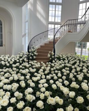 Davika Hoorne Instagram - Thank you babyyyy @terchantavit 🌹 #tmanv