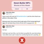 Dawn Butler Instagram - This weeks Block of the Week, comes from a serial online abuser. I've decided to highlight this racist, who continues to spread their lies on my timeline. Time to cleanse my mentions of idiots❌ #ButlerBlocks