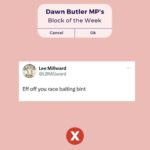 Dawn Butler Instagram - This week's Block of the Week! I've received a lot of disgusting racist abuse recently, with multiple reported to the police and statements given. Abuse this time from a professional photographer no less. The abuse never stops, but I will never stop calling it out.