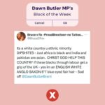 Dawn Butler Instagram - This week’s Block of the Week is this vile racist abuse. Interesting to see they have @reformparty_uk in their bio. One of many disgusting comments I’ve received in recent days, which I’ve reported to the police. The abuse never stops, but I will never stop calling it out.