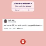 Dawn Butler Instagram - This racist woman, Polly Salt, whose profile indicates she's a @canalrivertrust volunteer, wants me to leave the country. This is also my country! I'm a Londoner born and bred! #BlackHistoryMonth seems to trigger people and bring out their true colours! My Block of the Week. #ButlerBlocks