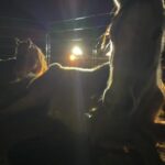 Dawn Olivieri Instagram -