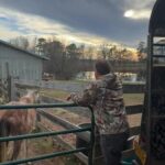 Dawn Olivieri Instagram - VIRUSKA Arabian baby rescue Day 2……annnnnd he let us come back to get more. We loaded 7 more emaciated Champion bloodline babies onto our trailer. He signed a Tramsfer of ownership agreement to MoonMountain as well. Please contact Moon Mountain if you would be potentially interested in pledging homes for more of this adult herd. I will share with the head coordinator. If anyone out there would ever consider donating a bigger trailer to our rescue, we could have taken more. Please consider the donation to this cause if you have the trailer to spare.