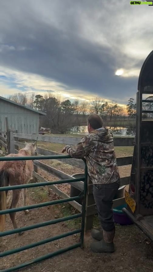 Dawn Olivieri Instagram - VIRUSKA Arabian baby rescue Day 2……annnnnd he let us come back to get more. We loaded 7 more emaciated Champion bloodline babies onto our trailer. He signed a Tramsfer of ownership agreement to MoonMountain as well. Please contact Moon Mountain if you would be potentially interested in pledging homes for more of this adult herd. I will share with the head coordinator. If anyone out there would ever consider donating a bigger trailer to our rescue, we could have taken more. Please consider the donation to this cause if you have the trailer to spare.