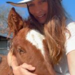 Dawn Olivieri Instagram - Today is a beautiful day. I want to spend it being grateful. This is an emotional support video compliments of handsome Little Don & Starr here to remind us (and me) that they found a safe landing because of our combined efforts. Not only did they survive the slaughter pipeline as babies, they also were pulled from the brink of illness that would have no doubt kept them from the lifetime of cuddles they are most definitely in store to receive. ❤️ When I want to remember how beautiful this life is…this is what I do❤️ My gratefulness practice 1. I’m grateful for my heart 2. This support 3. When a horse begins to trust 4. When a baby finds a wonderful home 5. When an easy breeze hits my face 6. Creek walk 7. Wild land 8. Full trust 9. Caring for animals 10. This beautiful life. I would love to read yours below if you would like to share this practice with me❤️ I’m also grateful for all our partnerships at @moon_mountain_sanctuary @purinafeedgreatness @tractorsupply @tarterusa @shelter_logic @equineeye_ @polarisaus @dickies Equine Sports Medicine