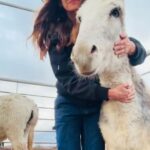 Dawn Olivieri Instagram – This is “Cuddles” apparently I have a heart donk and this is her.❤️ @moon_mountain_sanctuary ambassador for sure. Famous for her hugs. Bowie, Texas