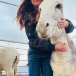 Dawn Olivieri Instagram - This is “Cuddles” apparently I have a heart donk and this is her.❤️ @moon_mountain_sanctuary ambassador for sure. Famous for her hugs. Bowie, Texas
