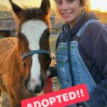 Dawn Olivieri Instagram – Our sweet baby Tank gets a mommy and she has told us she is over the moon for him. 

Thank you @equinesportsmedicineesm and @camstoudt for giving Tank the chance at this new exciting life with so much love he can barely stand it.

And thank you @moon_mountain_sanctuary for existing. You came out of nowhere like a runaway train. But I’m riding it like the wind and this right here… is what it’s all for. ❤️ good luck Tank can’t wait to see how you turn out 🥰 Arkansas – the Natural State