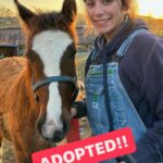 Dawn Olivieri Instagram - Our sweet baby Tank gets a mommy and she has told us she is over the moon for him. Thank you @equinesportsmedicineesm and @camstoudt for giving Tank the chance at this new exciting life with so much love he can barely stand it. And thank you @moon_mountain_sanctuary for existing. You came out of nowhere like a runaway train. But I’m riding it like the wind and this right here… is what it’s all for. ❤️ good luck Tank can’t wait to see how you turn out 🥰 Arkansas - the Natural State