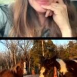 Dawn Olivieri Instagram - Let’s check up on @smhorserescue and the bonded blind pair PayPal: smhrescue Venmo: smhrescue Cash App: $smhrescue We are raising 2k for their adoption!!! Go to any link in their bio to help get these two to an amazing blind horse rescue called @redclayrescue where they have over 84 horses and 17 are blind!!! It’s so perfect for these babies I can’t stress it enough. Stay on for an added Q &A at the end!! Just a little dose of truth for everyone interested. ;) Arkansas - the Natural State