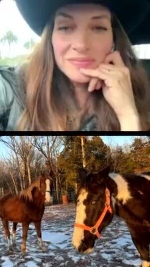 Dawn Olivieri Instagram - Let’s check up on @smhorserescue and the bonded blind pair

PayPal: smhrescue 
Venmo: smhrescue 
Cash App: $smhrescue 

We are raising 2k for their adoption!!! Go to any link in their bio to help get these two to an amazing blind horse rescue called @redclayrescue where they have over 84 horses and 17 are blind!!! It’s so perfect for these babies I can’t stress it enough. 

Stay on for an added Q &A at the end!! Just a little dose of truth for everyone interested. ;)
