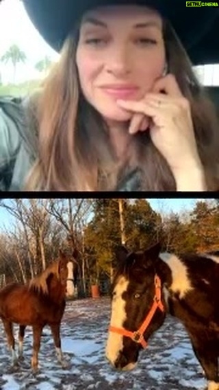 Dawn Olivieri Instagram - Let’s check up on @smhorserescue and the bonded blind pair PayPal: smhrescue Venmo: smhrescue Cash App: $smhrescue We are raising 2k for their adoption!!! Go to any link in their bio to help get these two to an amazing blind horse rescue called @redclayrescue where they have over 84 horses and 17 are blind!!! It’s so perfect for these babies I can’t stress it enough. Stay on for an added Q &A at the end!! Just a little dose of truth for everyone interested. ;) Arkansas - the Natural State