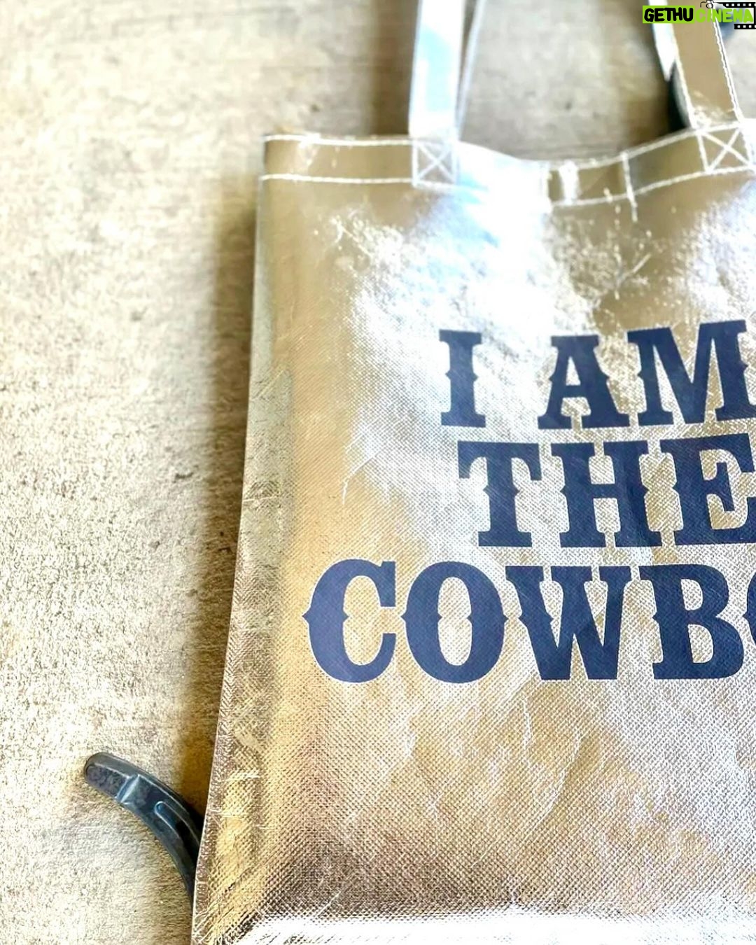 Dawn Olivieri Instagram - Hay mommies and hay daddies you know what to do. Head to MoonMountainSantuaryAndRescue.com. And get one. Theres are soooo good and a really good donation amount. They are also SILVER bags. The light makes it look gold. Link will be in stories and then above in the merch bubble❤️ All proceeds go towards Moon Mountain and helping these babies get their second chance. Big love to @deborahmichelledesign for churning out this merch like a boss😎 Now let’s help some horses! Arkansas - the Natural State