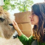 Dawn Olivieri Instagram - 🌟💫🦁🐻🦜🌿 Calling all animal lovers! 🌼🐾✨ Are you ready for an unforgettable experience? 🤩🏞️✈️ We are excited to announce our special raffle where you can win a day at the sanctuary of your choice! 🎉🎈🌈 For only $100, you can purchase a raffle ticket and get a chance to fly out to either Moon Mountain Sanctuary or Roar Sanctuary! 🌙🏞️🌺 And that’s not all! 🙌🏼🌟 The lucky winner will get to spend two whole days with the incredible animals, and we’ll cover your flight, hotel, and even treat you to a memorable dinner at the sanctuary! ( let’s be honest this could turn into a bag of Doritos while feeding horses😂 rescue life can be crazy!)🌍🏨🍽️ To enter, simply donate $100 and make sure to put “Sanctuary Trip” in the description of your donation. ⭐🙏🏼📝 Please note that blackout dates do apply, and we kindly ask for your understanding as we need adequate time to plan your visit due to our busy schedule. 📅📆💼 ONLY 200 tickets will be sold!! 🎟️ Don’t miss out on this amazing opportunity to connect with these beautiful creatures and support our sanctuary’s mission! 🐴 🐈‍⬛🐖🫏🤝 Remember, every donation counts and brings us one step closer to caring for these animals and protecting their habitats. 🌍💚🐾 Let’s make a difference together! 🌈🙌🏼 #SanctuaryTrip #supportrescueanimals #savinglivestogether ♦️ CASHAPP: $ROARSANCTUARY ♦️ PAYPAL: https://paypal.me/roarsanctuarytx?country.x=US&locale.x=en_US ♦️ VENMO:@ROARSANCTUARY. ♦️ MYGIVINGCIRCLE: https://mygivingcircle.org/red-orchard-animal-rescue/donate/free