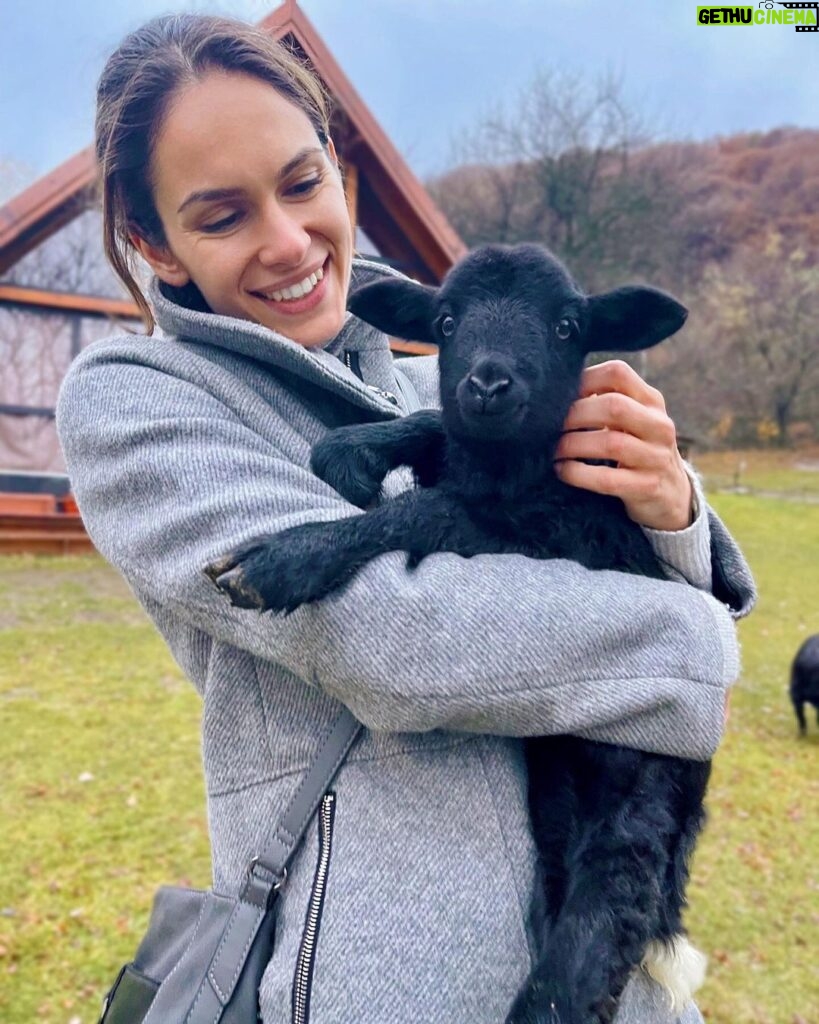 Dayana Handjieva Instagram - Сприятелихме се, логично, все пак сме черните овце на Фермата 6. И всичко беше наред, докато не започна да ми говори на “бе”. Тогава ѝ разказах за Гергьовден.... #lamb #babyanimals #animal #animallovers #farm #farmlife #smile #fermata Гората над Железница