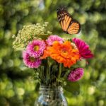 Dean R. Koontz Instagram – Q: Do you have any springtime allergies? 
A: I just discovered it’s not pollen I’m allergic to——it’s Kleenex.