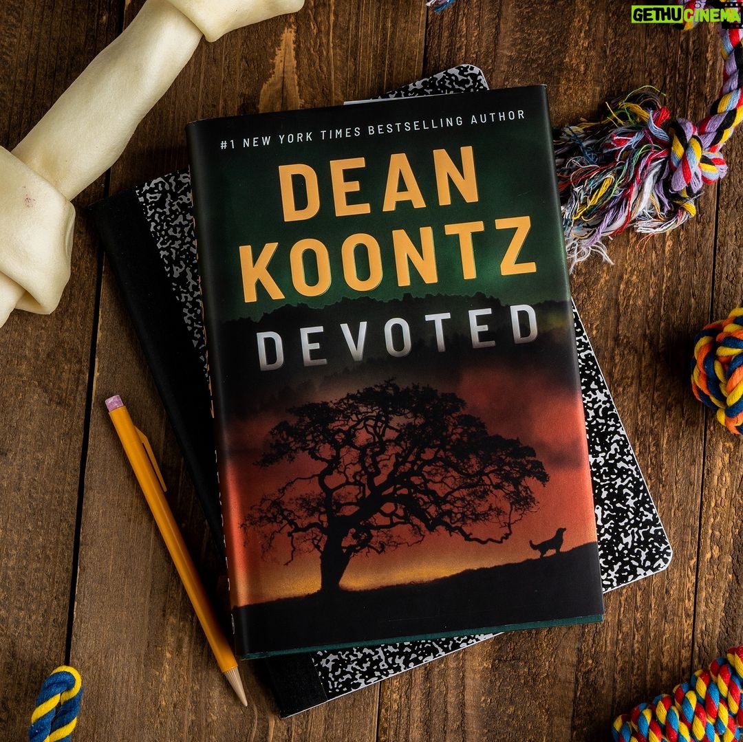 Dean R. Koontz Instagram - Q: I loved DEVOTED. Kids & dogs really get each other. A: Not just kids. Elsa & I spent last night discussing the films of Martin Scorsese.