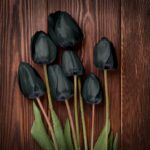 Dean R. Koontz Instagram - Q: Is spring your favorite season? A: No. It lasts 94 days. Summer is 92, autumn 90, & winter 89. Spring is TEDIOUS.