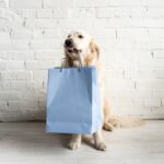 Dean R. Koontz Instagram – Q: What’s on Elsa’s Black Friday shopping list? 
A: A leash to better control me and my submission to obedience lessons.