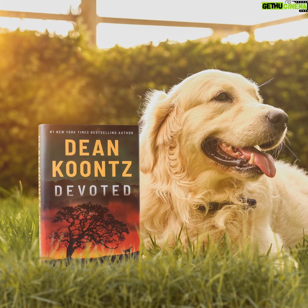 Dean R. Koontz Instagram - Q: How is Kipp, in DEVOTED, similar to Elsa? A: I can’t think of anything except both subscribe to Quantum Mechanics Magazine.