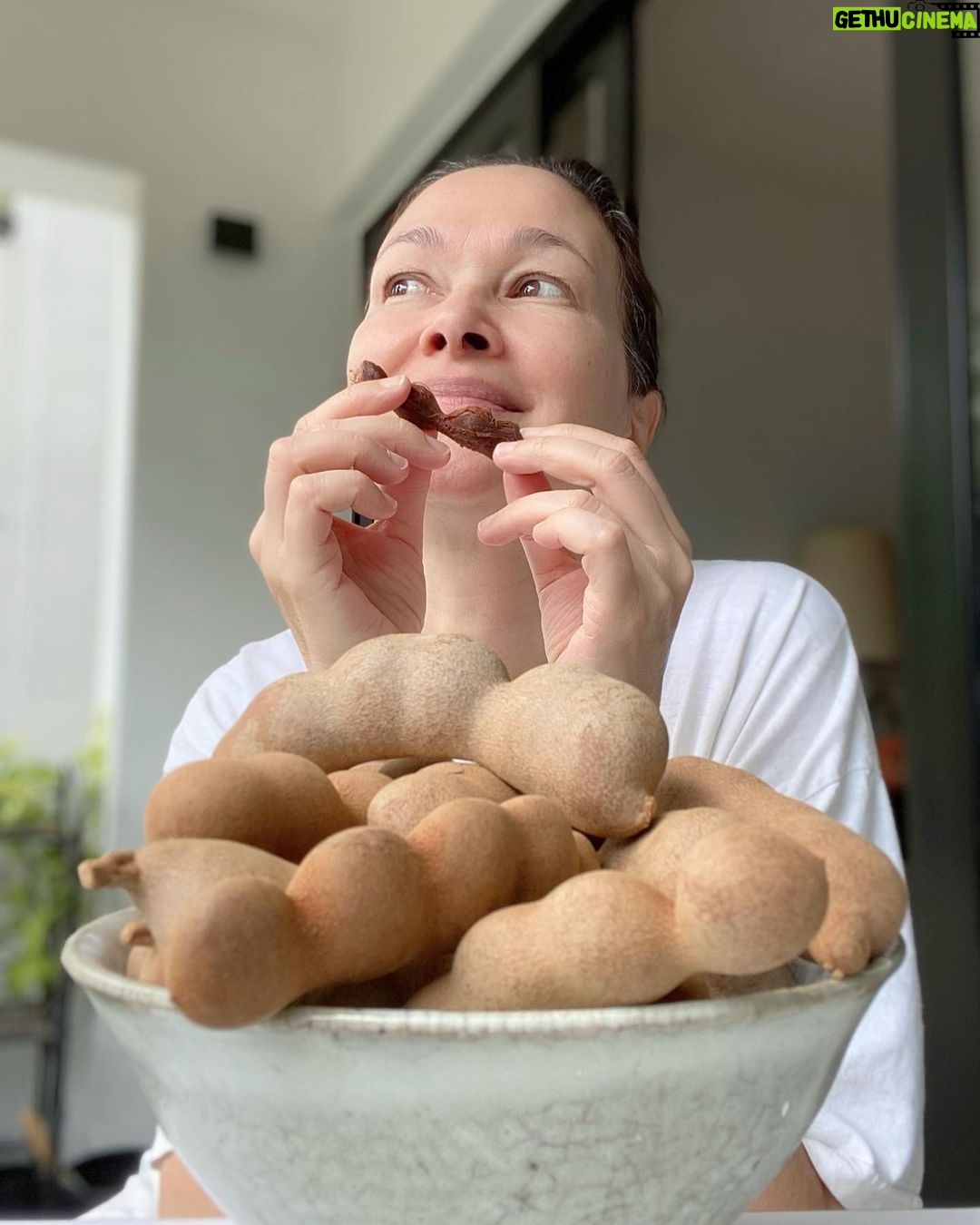 Deanna Yusoff Instagram - I discovered these yummy snacks in Thailand a few years ago. I had been using the paste in curries and chutneys but didn’t know how good it was to eat it in it purest form. My Nenek used to get me to drink the pulp mixed with warm water when I had a fever. Have you guessed what these are? It’s definitely become a favourite healthy snack of mine. Do share how you use it. #tamarind #asamjawa #thailand #healthysnacks #curries #chutneys #nenek #snack #antiinflammatory #antioxidants #polyphenols #homeremedies #natural