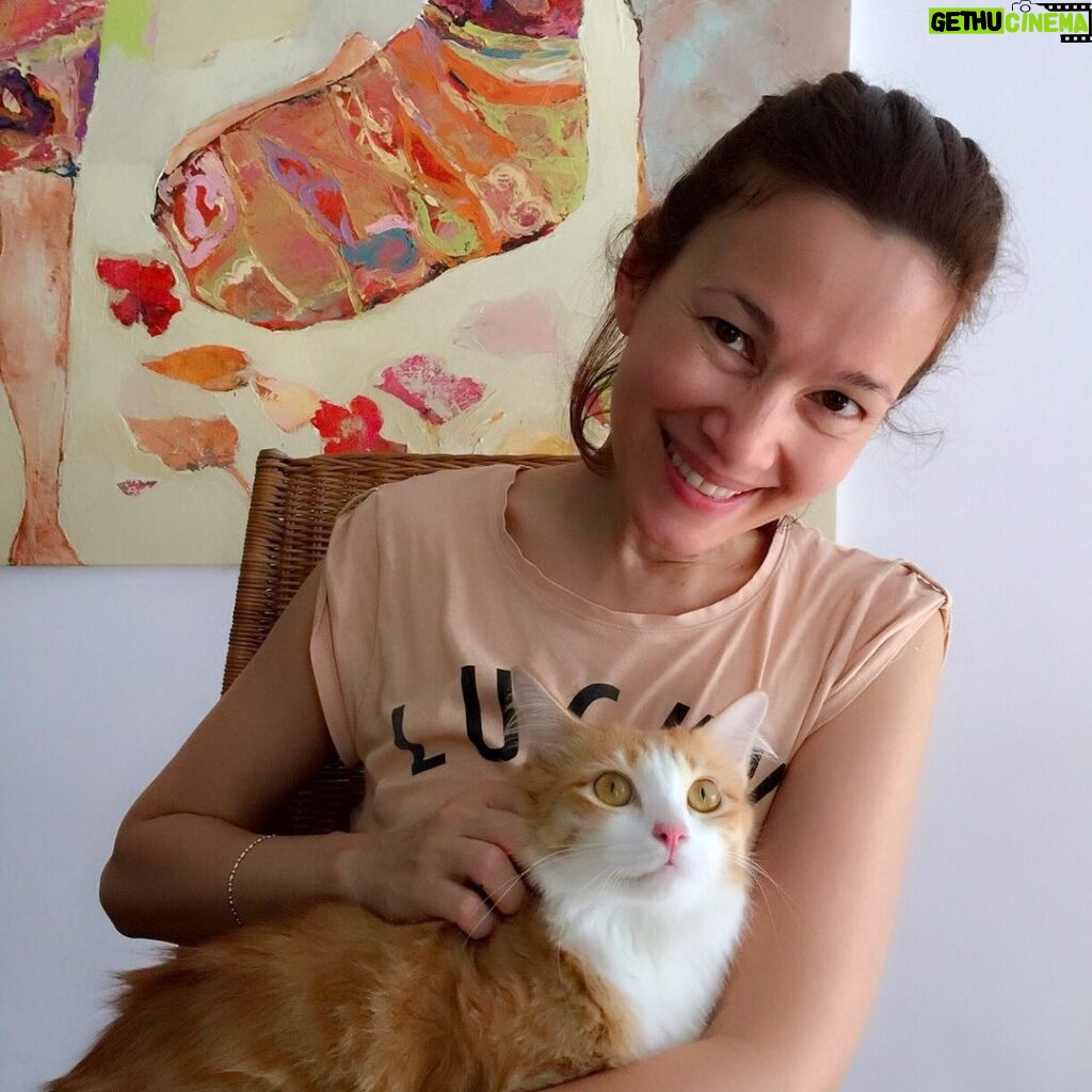Deanna Yusoff Instagram - I miss this princess. It’s been 2 years now. Can’t wait to see my bubus again. I know they will ignore me and be merajuk-ing but nothing a treat or big time manja-ing can’t fix! 😜 #cats #pets #missyou #fatcat #merajuk #manja #princess #treat #livingwithdeanna