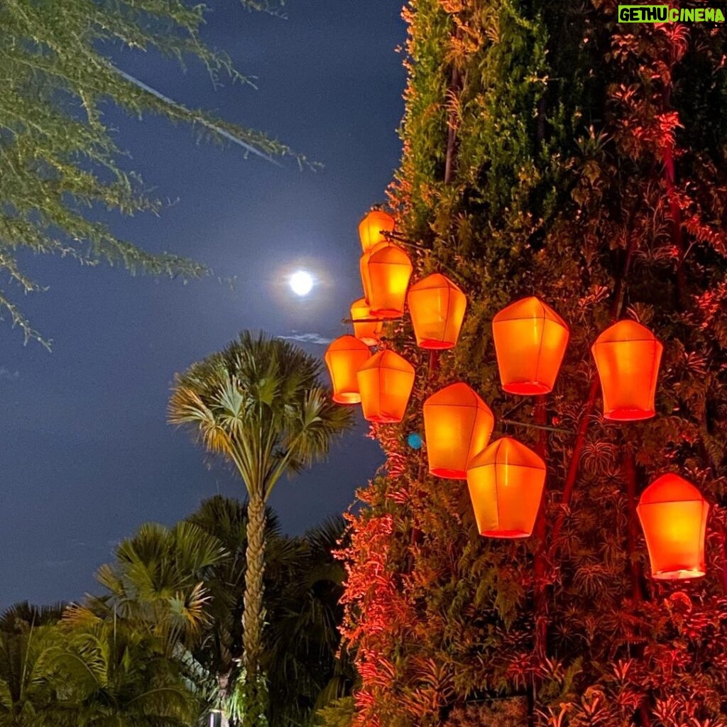 Deanna Yusoff Instagram - Happy Mid-Autumn Festival. #midautumnfestival #lanternfestival #fullmoon Gardens by the Bay