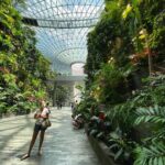 Deanna Yusoff Instagram - Wanted to know what all the fuss about Jewel was. Pleasantly surprised to find this man-made lush tropical garden at an airport, fully air-conditioned and minus the mozzies! Worth the trip 💃🏻 @jewelchangiairport #singapore🇸🇬 #tropicalgarden #indoors #manmade #lush #green #nomosquitos #holiday #deannayusoffexplores #dayoff #beauty #planet Jewel Changi Airport
