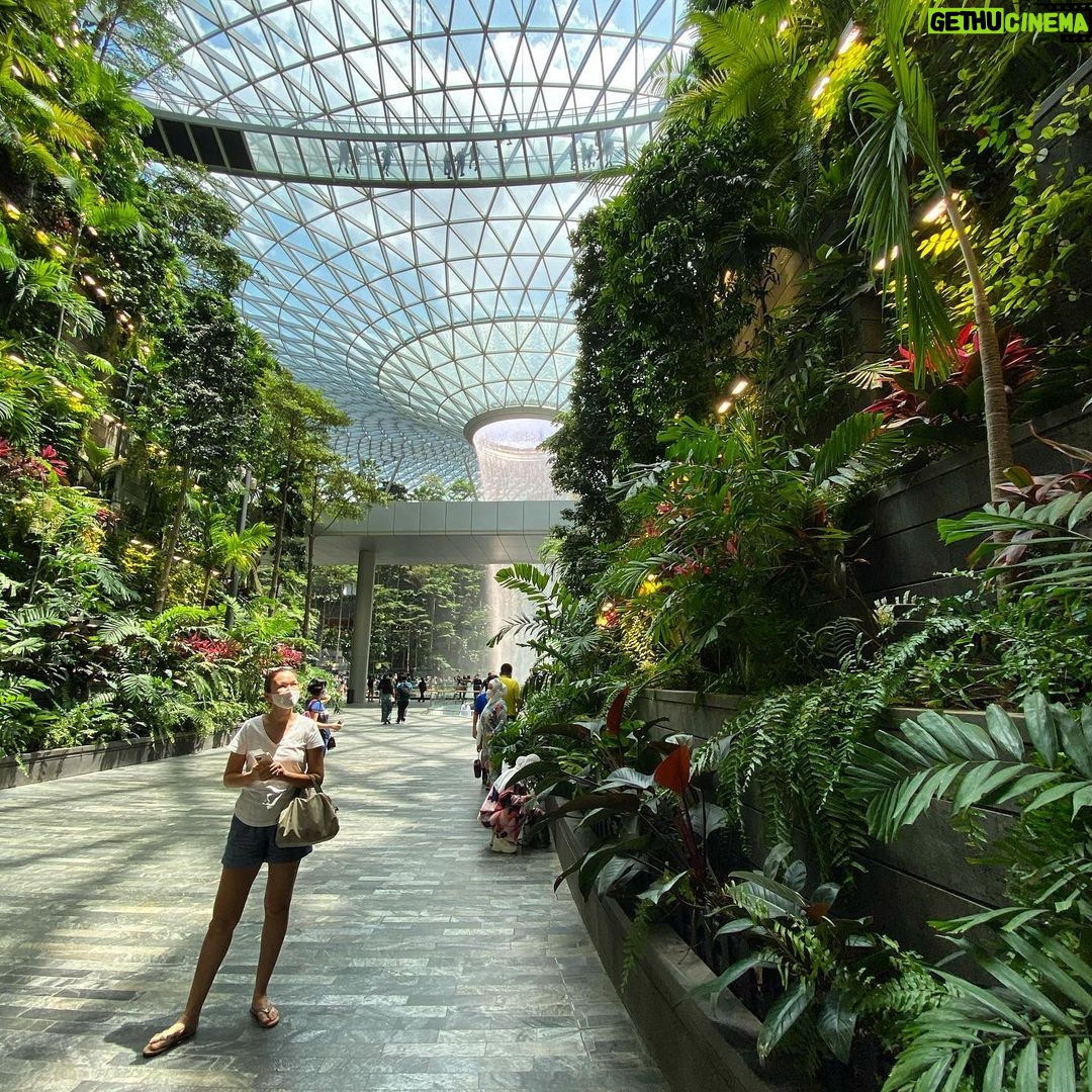 Deanna Yusoff Instagram - Wanted to know what all the fuss about Jewel was. Pleasantly surprised to find this man-made lush tropical garden at an airport, fully air-conditioned and minus the mozzies! Worth the trip 💃🏻 @jewelchangiairport #singapore🇸🇬 #tropicalgarden #indoors #manmade #lush #green #nomosquitos #holiday #deannayusoffexplores #dayoff #beauty #planet Jewel Changi Airport