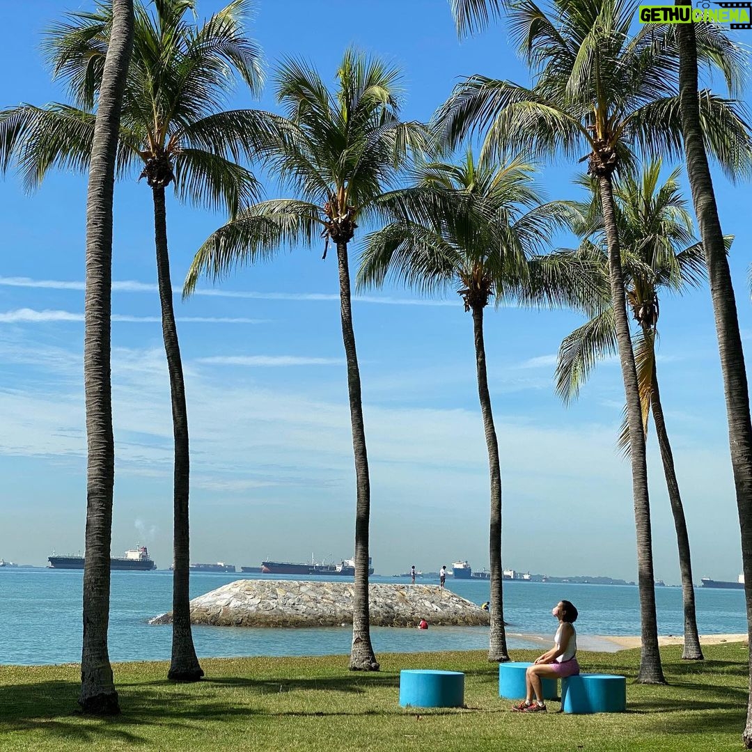 Deanna Yusoff - 868 Likes - The closest Iāll get to a beach....for now (hopeful š)
Letās not, however, forget to get some daily sun to replenish our Vitamin D, a crucial vitamin needed to keep our immune systems strong.
Have a happy week everyone!
#vitamind
#immunesystem
#sunlight
#beach
#holiday
#staysafe
#staypositive
#balance
#goodhealth
#harmony
#love
#livingwithdeanna
#journey
#gratitude
#blessing
#eurasian
#actress
#fun
#happiness