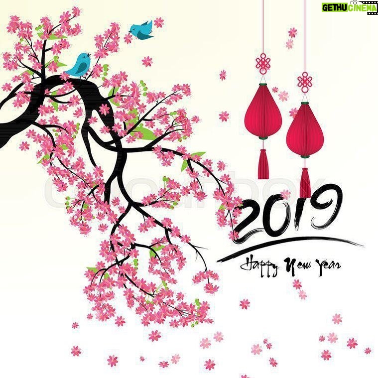 Deanna Yusoff Instagram - To all who are celebrating, Kong Hei Fatt Choy and wishing you a prosperous year of the oink oink. Happy Holiday to all! #yearofthepig #chinesenewyear #celebration #family #culture #malaysia #gratitude #blessings #forgiveness #fun #happiness