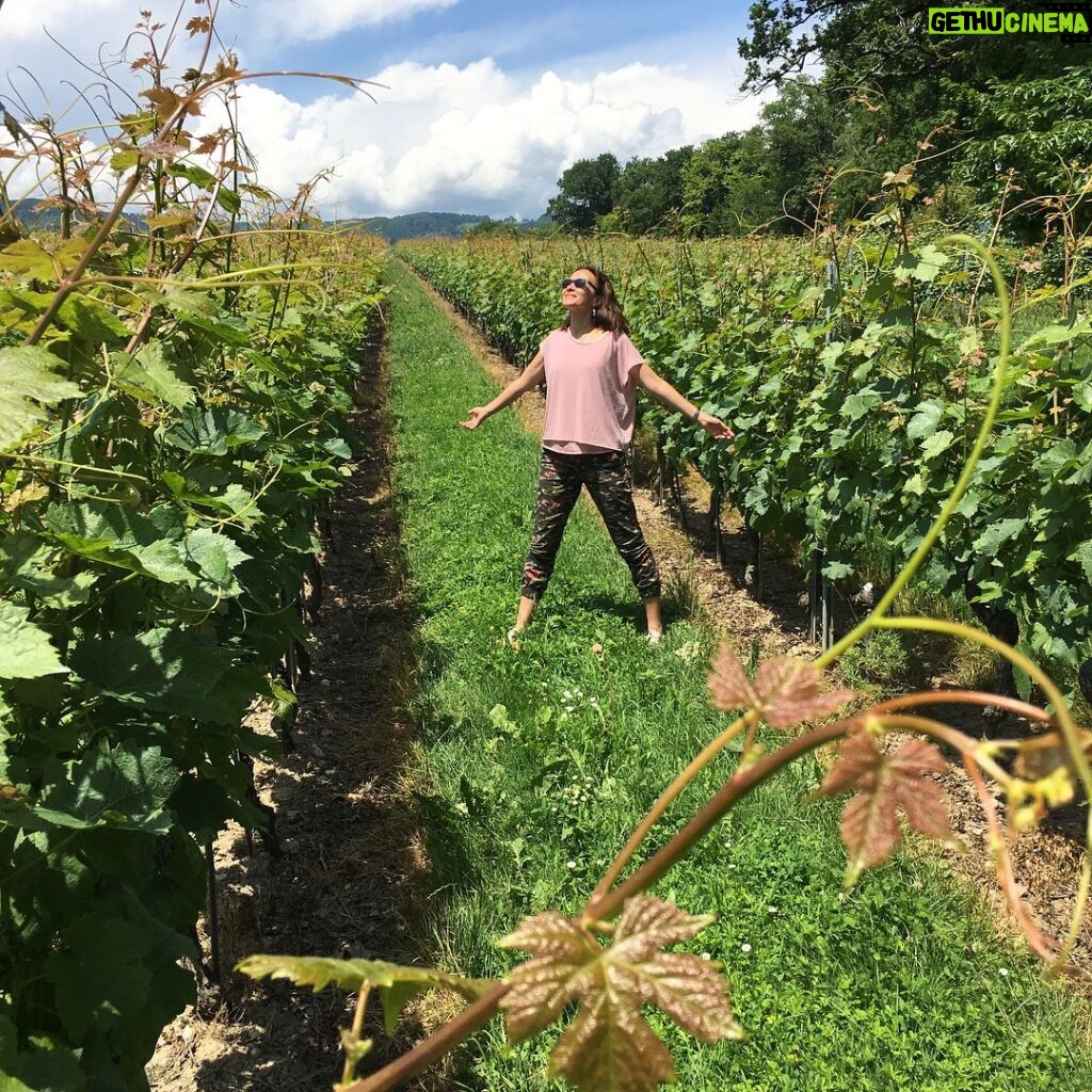 Deanna Yusoff Instagram - A day by the Riviera Suisse, lac Léman. Am gonna miss the beautiful summer weather and all the yummy food. #lacleman #rivieravaudoise #switzerland #vaud #vineyard #poppyflower #summer #vacation #ysbh #deannatravels #livingwithdeanna #europe #freedom #gratitude #lifeisgood #casinodemorges #hôteldevillemorges #belgianwaffle #actress #singer #model #emcee #eurasian