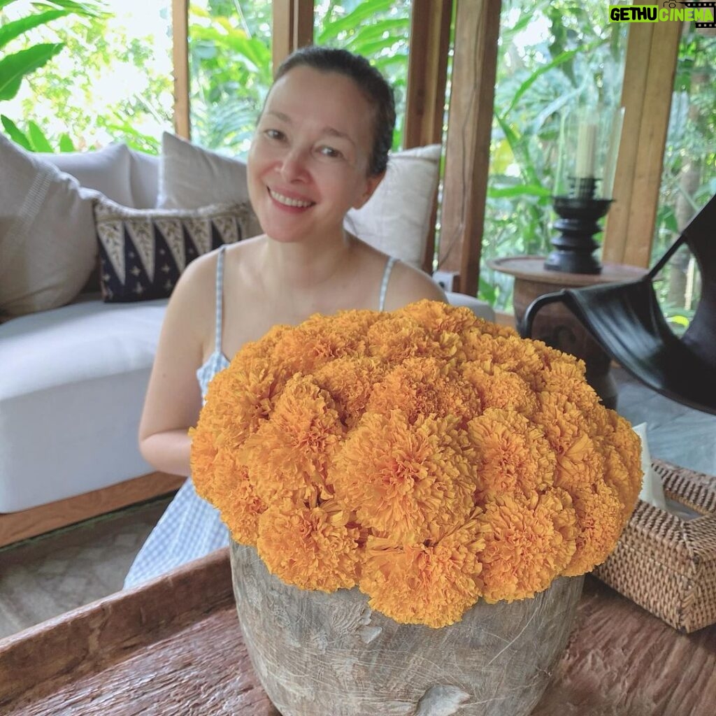 Deanna Yusoff Instagram - Happy Wesak Day! 🙏🏼 Today, we celebrate the values of compassion, mindfulness, and wisdom that are central to this special occasion. It's a reminder to reflect on our own lives and the impact we have on the world around us. Let us all strive to cultivate empathy, understanding, and respect for one another as we navigate through life's journey. #WesakDay #Compassion #Mindfulness #Wisdom #Empathy #Respect Bali, Indonesia