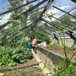 Deanna Yusoff Instagram - On one of my trips to Switzerland, I visited a convalescent home surrounded by forests and a beautiful lake. While exploring, I found a small glass house where herbs and small vegetables were grown to be used in their kitchen. Although I am not very good with plants, being surrounded by them was a wonderful experience. It got me thinking about how important plants are in our lives. Plants are more than just a source of food. They have medicinal and aromatic properties that have been used for centuries. Many modern medicines are derived from plants. Herbs have been used in Traditional Chinese Medicine (TCM) for thousands of years and essential oils extracted from plants are used in aromatherapy to promote relaxation and reduce stress. In addition, plants have air-purifying properties and can remove toxins from the air, making our environment cleaner and healthier. Studies have also shown that exposure to plants and nature can reduce stress and anxiety, improve mood, and increase productivity. Incorporating plants into our homes and workplaces can have a positive impact on our lives and the environment. Are you surrounded by plants? Y/N in the comments below. #plants #nature #herbs #medicinalplants #aromatherapy #essentialoils #TCM #traditionalchinesemedicine #healthylifestyle #wellness #selfcare #stressrelief #mentalhealth #productivity #environment #airpurifying #healthbenefits #holistichealth #greenliving #Switzerland